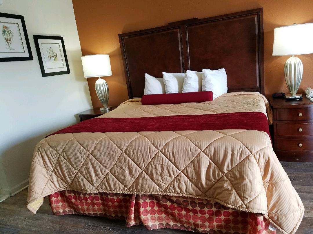 Royal Inn Спарта Екстер'єр фото