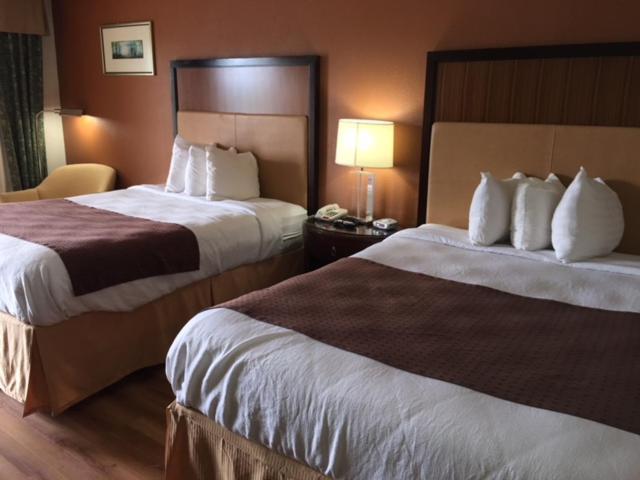 Royal Inn Спарта Екстер'єр фото